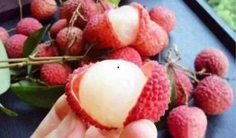 娱乐吃瓜酱荔枝视频,娱乐吃瓜酱带你揭秘娱乐圈幕后故事