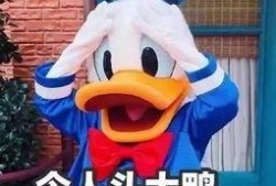 娱乐吃瓜姐买鸭,揭秘“吃瓜姐买鸭”背后的故事