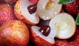 娱乐吃瓜酱荔枝视频,娱乐吃瓜酱带你揭秘娱乐圈幕后故事