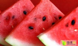 娱乐吃瓜菌医院,揭秘娱乐圈背后的医疗秘密