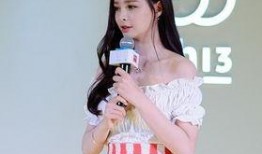 娱乐吃瓜姐沈梦辰,娱乐吃瓜界的风云人物